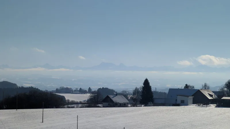 Schlittenberg am Waldcafé Bad Grönenbach: rodeln mit Alpenblick und Einkehr