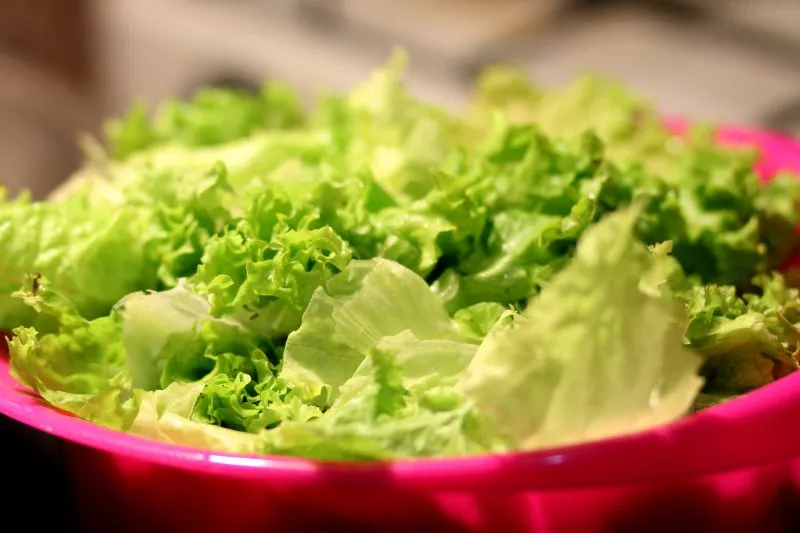 Salatschleuder Test: Die besten Salatschleudern im Vergleich