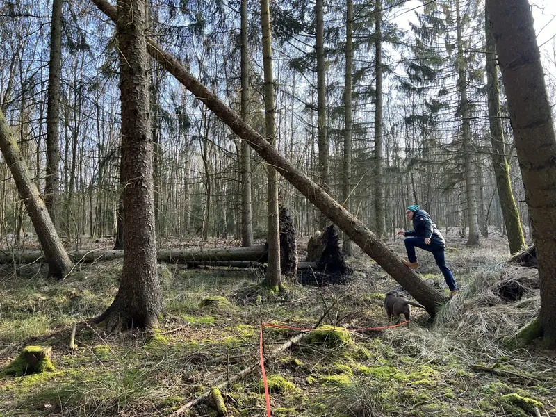 Mecklenburg-Vorpommern ist XXL