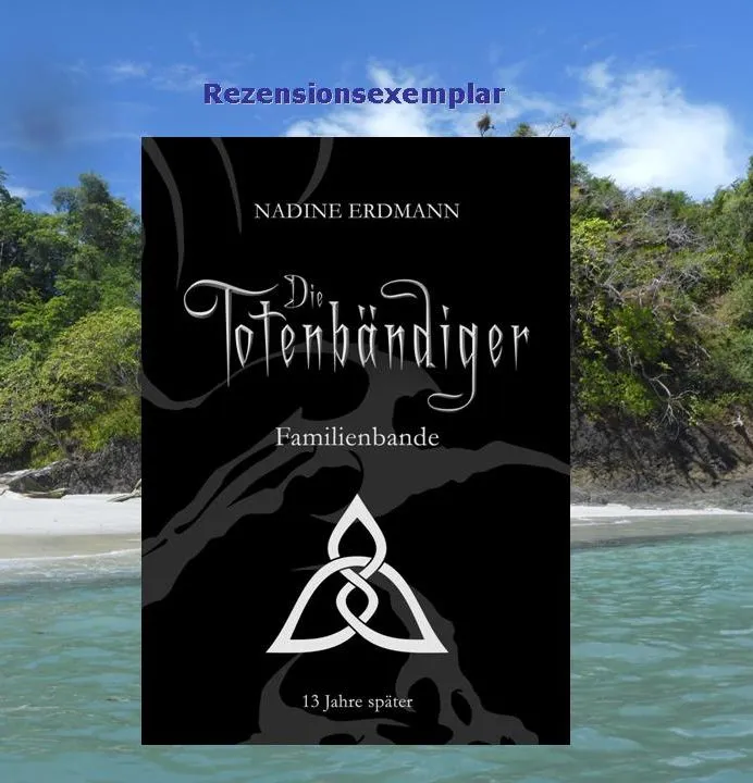 Rezension "Familienbande: 13 Jahre später - Band 2" von Nadine Erdmann
