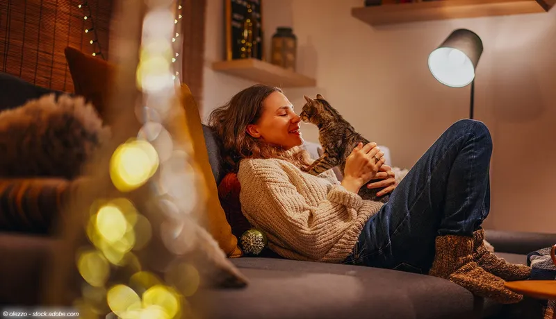 Ein Platz in unserem Herzen – Das Leben mit einer Katze