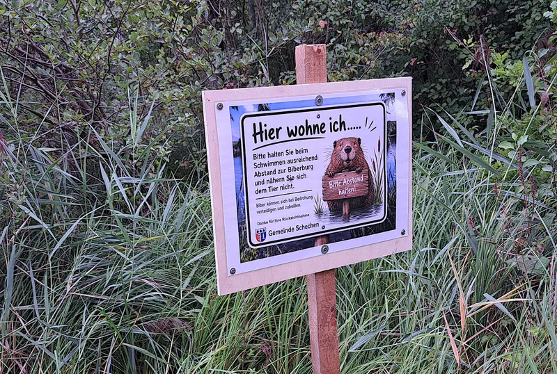 Der Biber bleibt, basta!