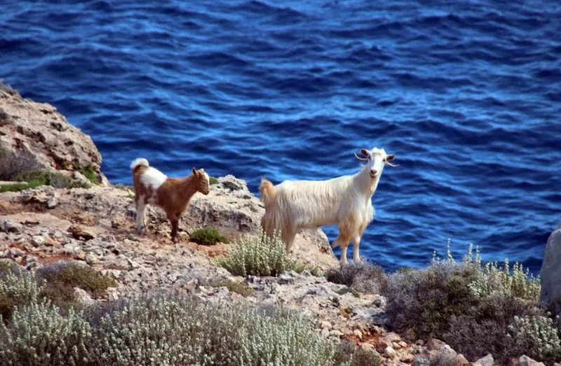 Kreta Nach Sonnenuntergang: Wenn Der Urlaubstag Noch Lange Nicht Vorbei Ist