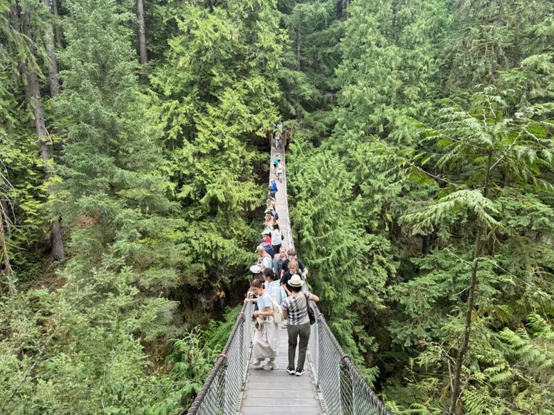 Die spektakuläre Hängebrücke Lynn Canyon Suspension Bridge