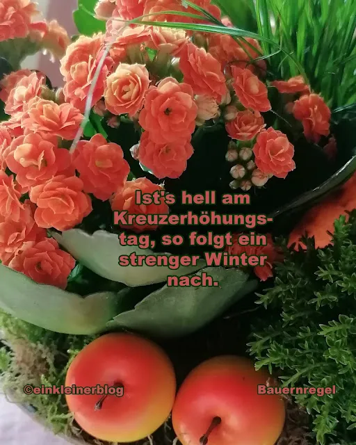 Wie wird der kommende Winter? - eine alte Bauernregel zum 14. September