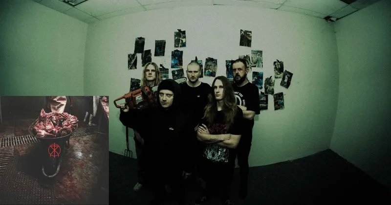 To The Grave: Mit Deathcore für die Befreiung von Tieren