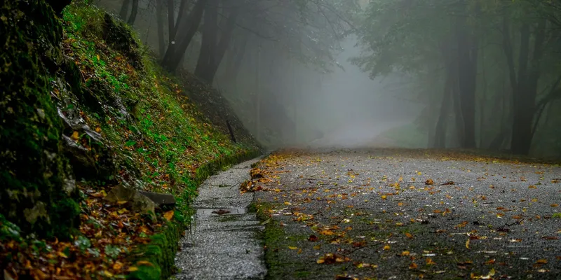 Checkliste Herbst-Spaziergang