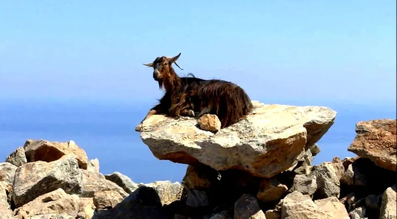 Kreta: Lato. Warum auf einem Berg leben?