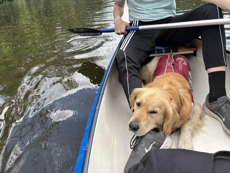 Kanu fahren mit Hund: Hier ist es in Hamburg möglich!