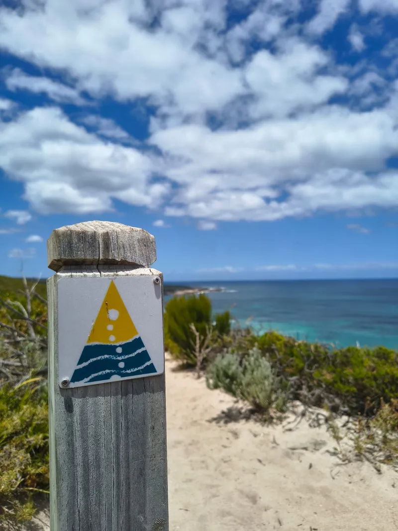 Cape to Cape Track Packliste