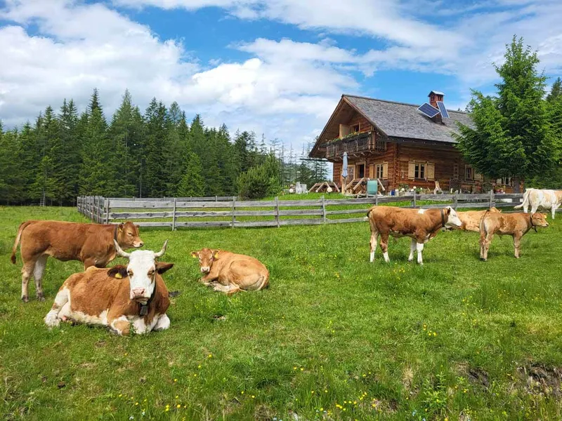 Insider-Tipps für Berghütten in Österreich & herrliche (DAV) Hüttentouren in den Alpen