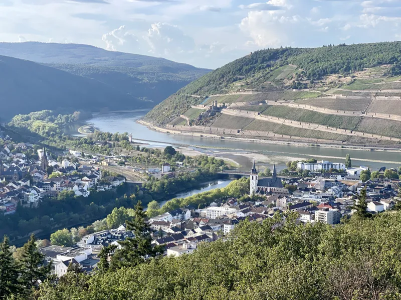 Wellness nach Hildegard von Bingen: Auf Spurensuche in Bingen