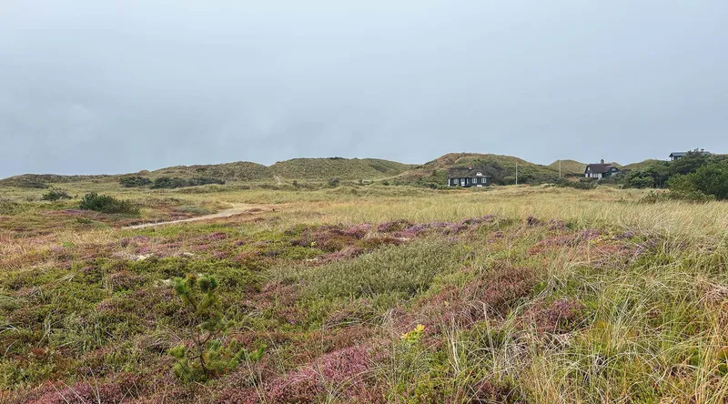 Dänemark: Unsere Lieblingsorte an der Küste von Westjütland