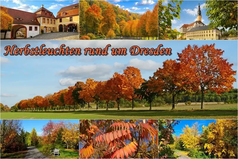 Herbstleuchten rund um Dresden, Sachsen