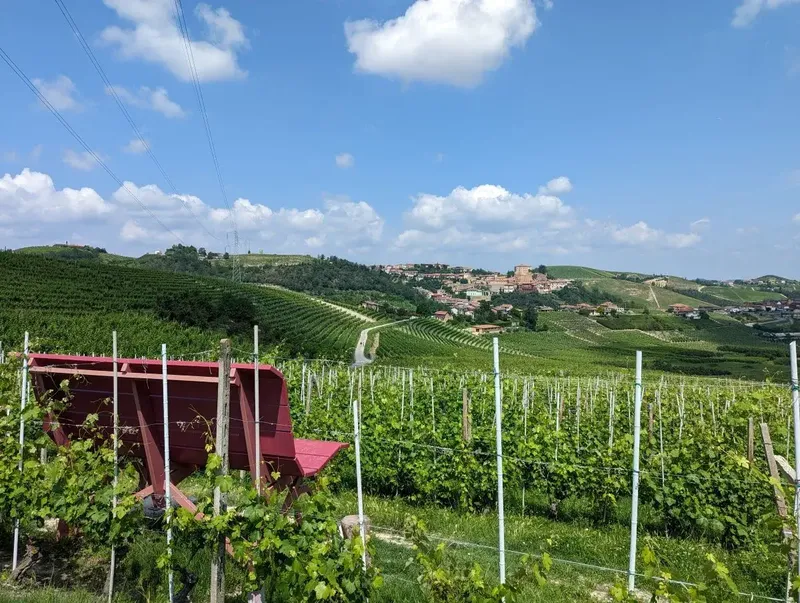 Piemont im Herbst: Trüffel, Wein und bunte Weinberge