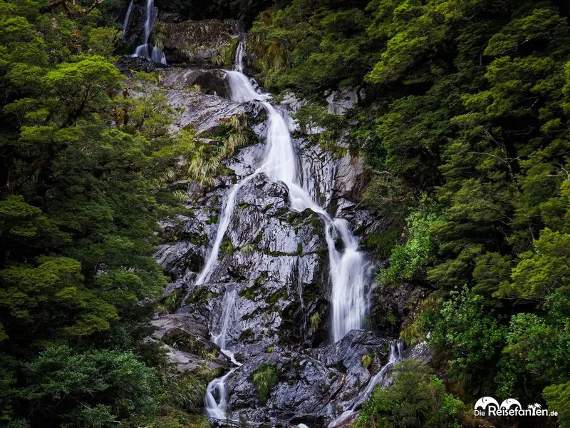 Roaring Billy Falls – Schöner Wasserfall, fiese Sandfliegen
