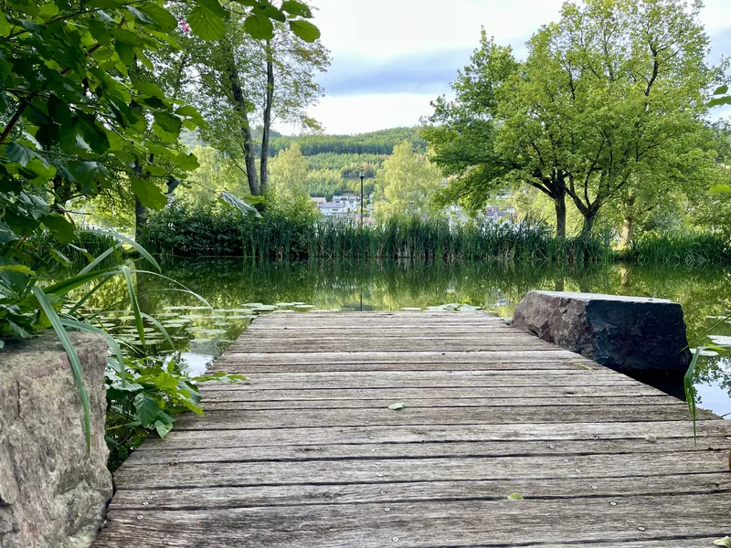 Saalhausen im Sauerland: Kneippen, Wandern und Wohlfühlen im TalVITAL