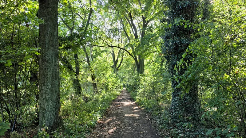 ‘Glas, Kiefern und eine schwarze Katze’: Von Klasdorf über das Museumsdorf Glashütte nach Baruth (RE-Klasdorf-Glashütte — RE-Baruth)