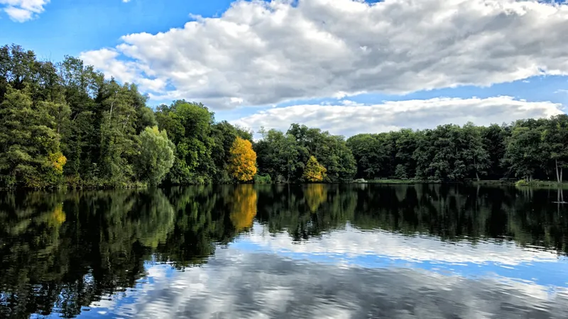 ‘Die Kleine Flatter’: Durch die Volksparks Rehberge und Jungfernheide vom Wedding nach Charlottenburg-Nord (U‑Afrikanische-Straße — U‑Halemweg)