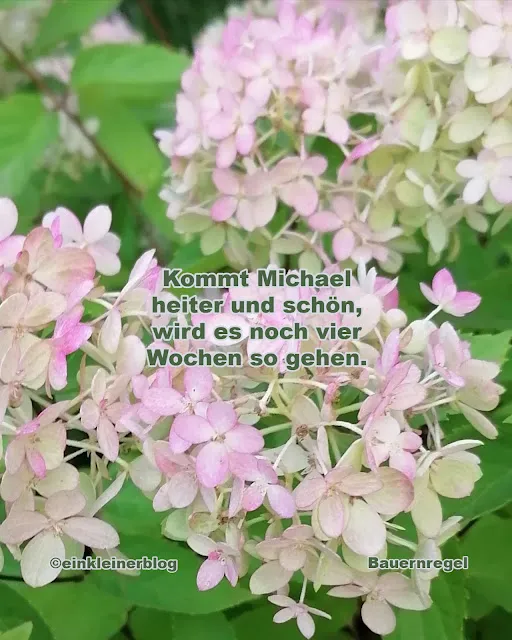 Wird es noch vier Wochen schön? -  eine alte Bauernregel zum 29. September