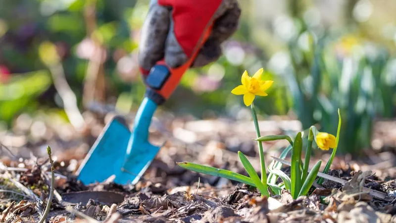 Was tun im März im Garten?