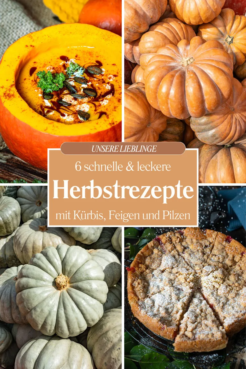 6 leckere Herbstrezepte mit Kürbis, Feigen und PilzenNeu
