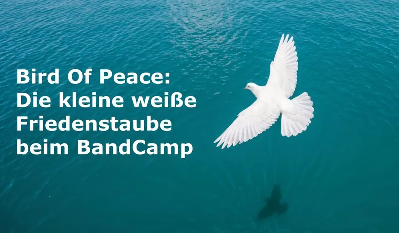 Bird Of Peace: Die kleine weiße Friedenstaube beim BandCamp