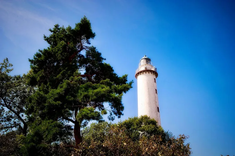Öland Roadtrip: Die schönsten Highlights der schwedischen Insel