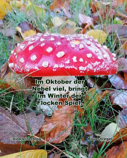 Viel Nebel im Oktober – kommt ein schneereicher Winter?