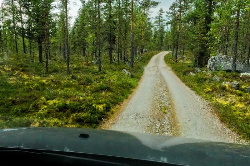 Gravel Roads zum Femund: Unsere Anfahrt in die Jyltingsmarka