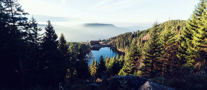 Die schönsten Wälder Deutschlands – Naturparadiese zum Entdecken