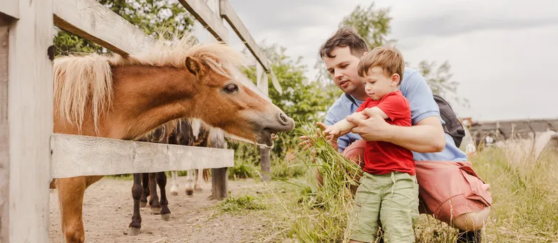 Von A wie Alpaka bis Z wie Ziege: Urlaubsideen für Familien mit kleinen Tierliebhabern
