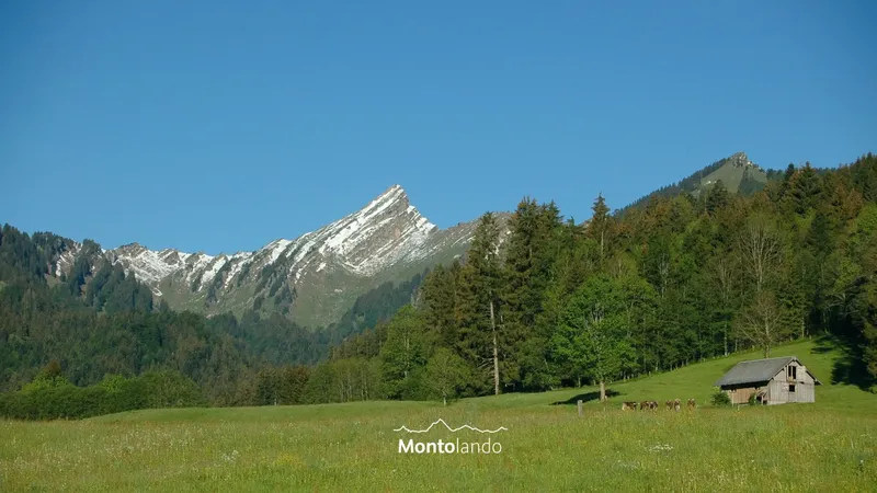 Speer – Wanderung aus dem Toggenburg zum Walensee