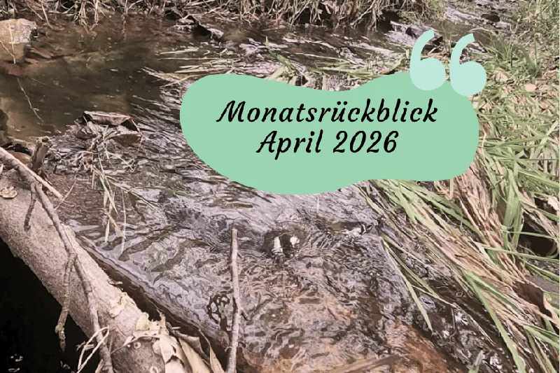 Monatsrückblick April 2026