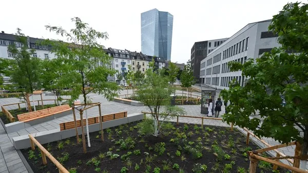 Abpflastern: Diese Stadt verschenkt Bäume, wenn Bürger Pflastersteine entfernen