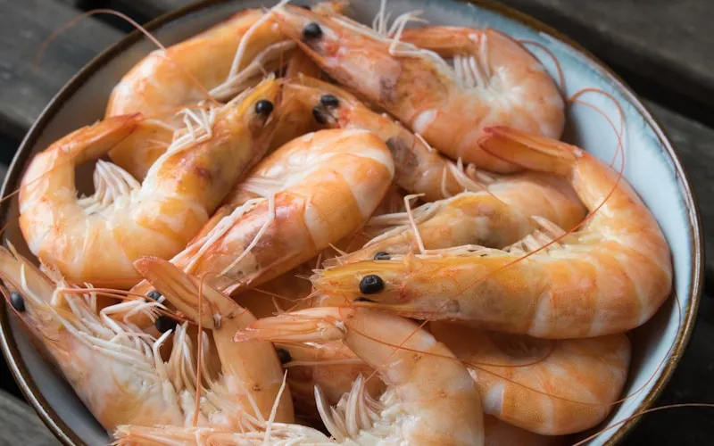 Die Nordseekrabbe – Wissenswertes über die Delikatesse