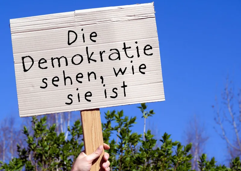 Die Demokratie sehen, wie sie ist