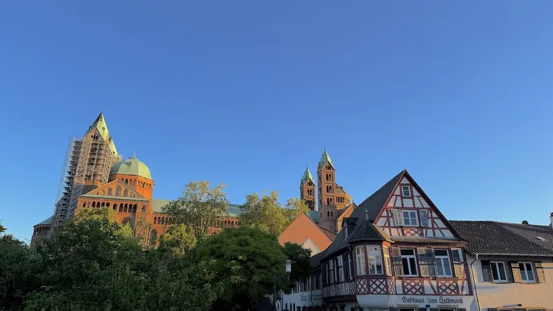 KW18-26 Frühjahrsemfang FdK, Geldwäscheprävention, 2. adesso Insurance Circle Stuttgart, AWSC, Mon Petit Cafe, Speyer!