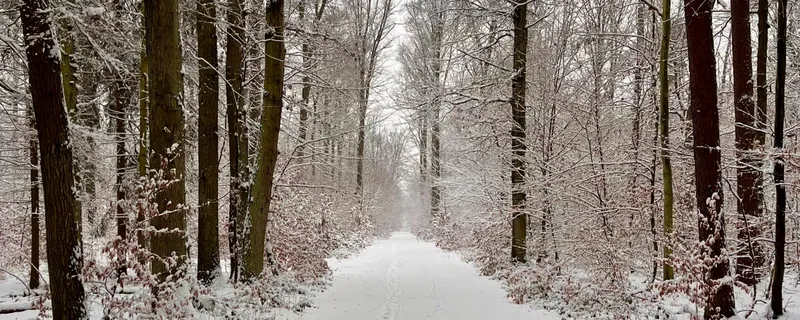 Wo sind eure guten Vorsätze?