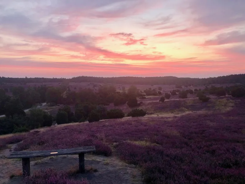 Wandern auf dem Heidschnuckenweg: Die schönsten Etappen durch die Lüneburger Heide