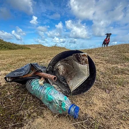 Urlaub 2025: In den Dünen von Hattainville – Die dritte Woche