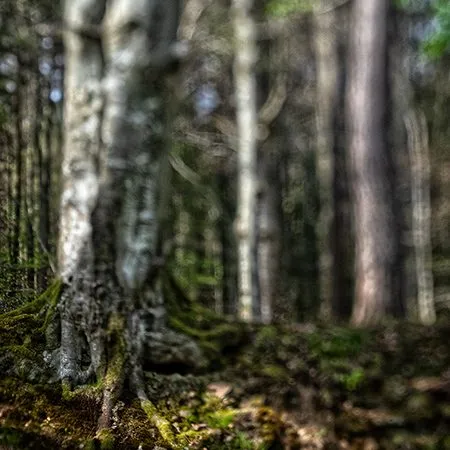 Fotografie als Medium zur Entschleunigung