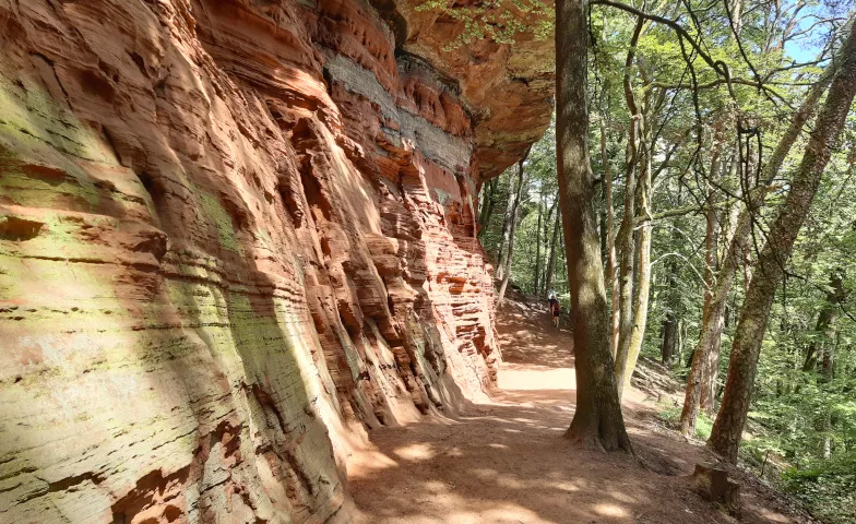 Wandern im Pfälzerwald: Von den Altschlossfelsen bis zu den 7 Waldwundern – meine 5 Lieblingstouren