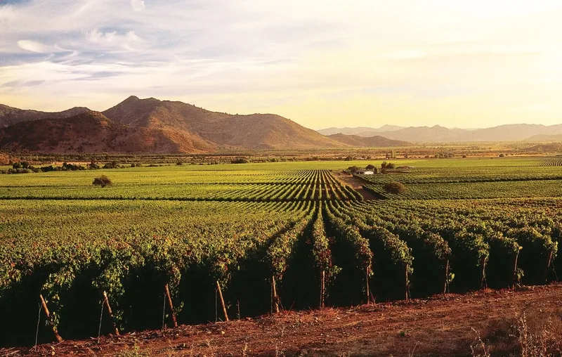 Chile Weinregionen: Der ultimative Guide