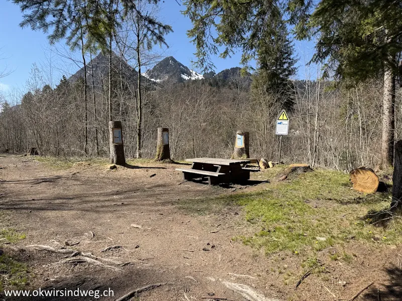 Saane-Wanderung zwischen Villars-sous-Mont und Enney (FR)