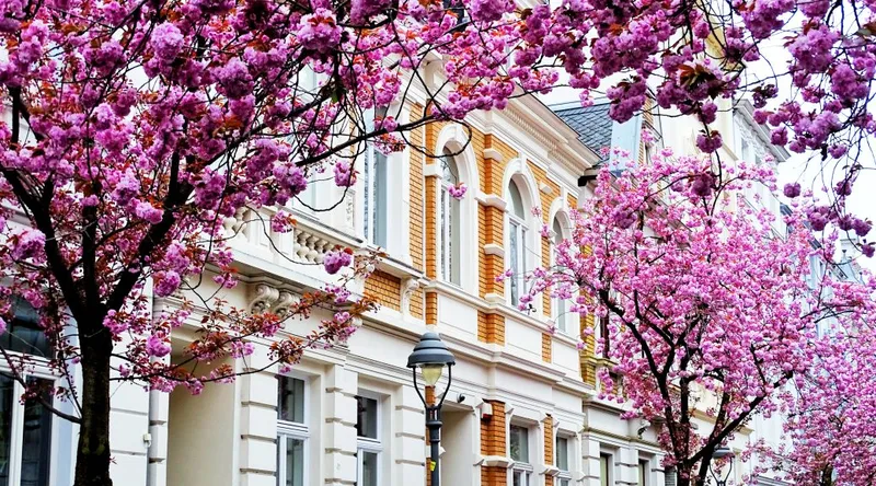 Haus gekauft – und jetzt? Warum die Hausfassade oft unterschätzt wird