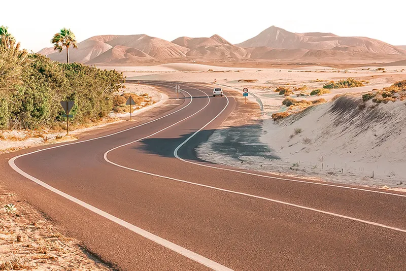 Gran Canaria oder Fuerteventura – welche Insel ist die richtige für mich?