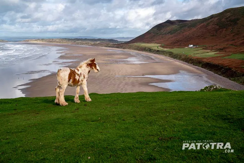 Zauberhafte Gower Halbinsel – geschützte Küstenlandschaft bei Swansea