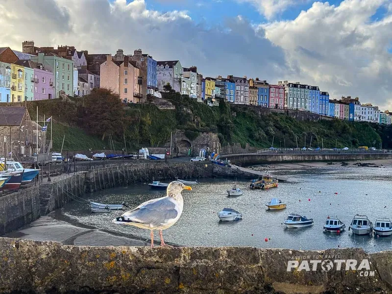 Tenby – buntes Küstenleben im Süden von Wales