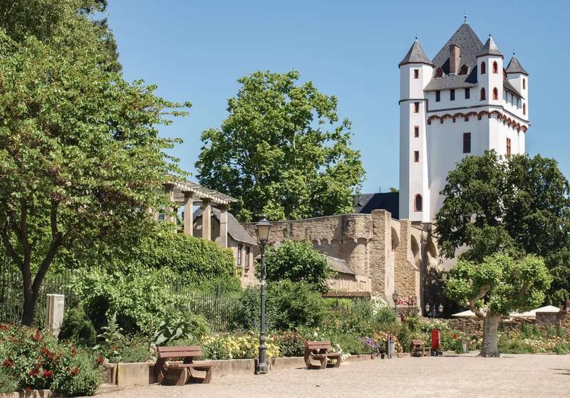 Eltville am Rhein – Tipps für die Rosenstadt im Rheingau